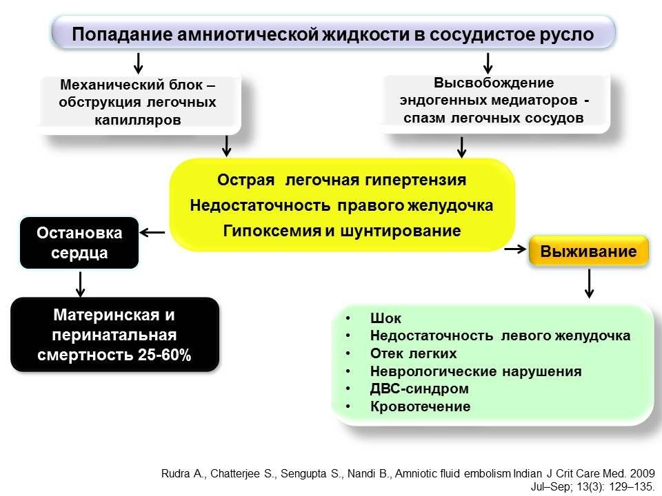 Реферат: Акушерские кровотечения