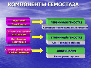 ПРОБЛЕМЫ   СОВРЕМЕННОЙ ИНФУЗИОННОЙ